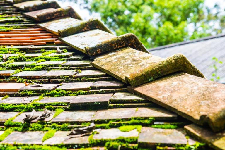 Démoussage de toiture à Étrelles : quand et comment procéder ?